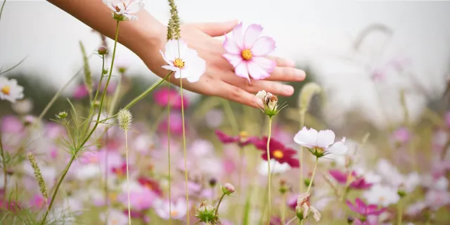 why is understanding ph important for the beauty and wellness professional